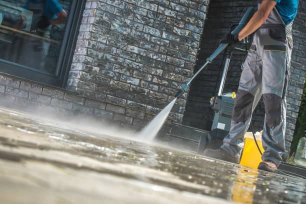 Best Animal Enclosure Cleaning  in Nicholasville, KY